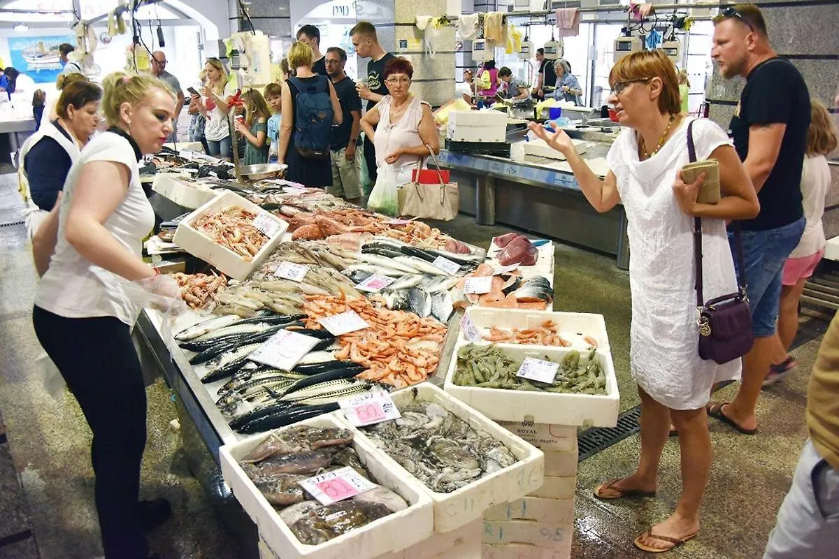 Lola App In City Center, 4+1 Pax Pula Croatia